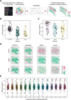 SpatialMap: Spatial Mapping of Unmeasured Gene Expression Profiles in Spatial Transcriptomic Data Using Generalized Linear Spatial Models